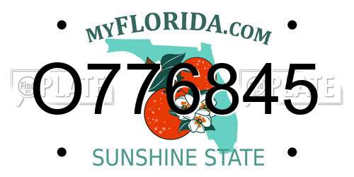 O776845 Florida License Plate