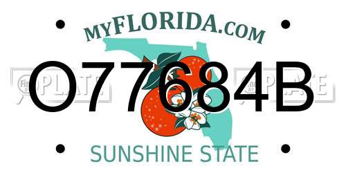 O77684B Florida License Plate