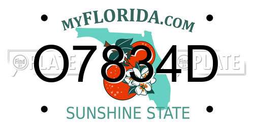 O7834D Florida License Plate