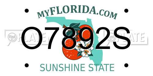 O7892S Florida License Plate