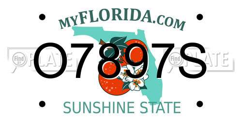 O7897S Florida License Plate