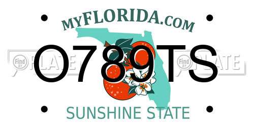O789TS Florida License Plate