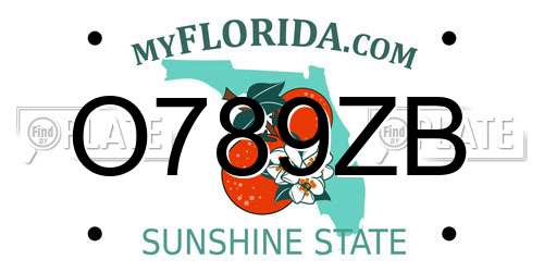 O789ZB Florida License Plate