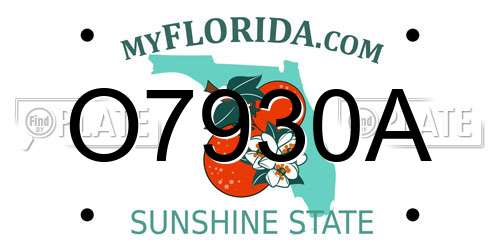 O7930A Florida License Plate