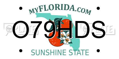 O79HDS Florida License Plate