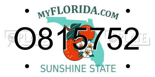 O815752 Florida License Plate