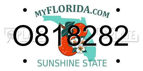 O818282 Florida License Plate