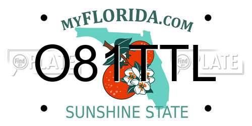 O81TTL Florida License Plate