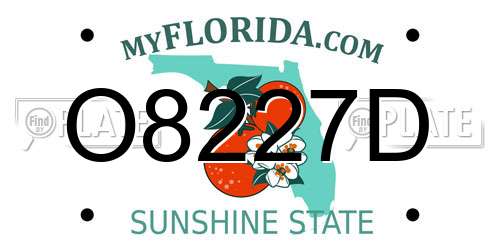 O8227D Florida License Plate