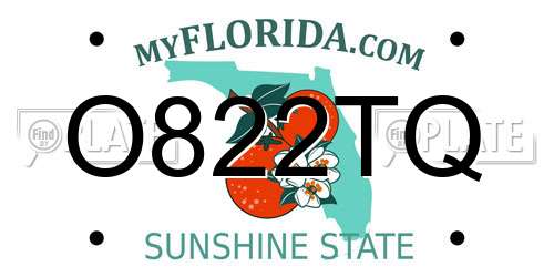 O822TQ Florida License Plate