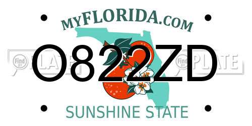 O822ZD Florida License Plate