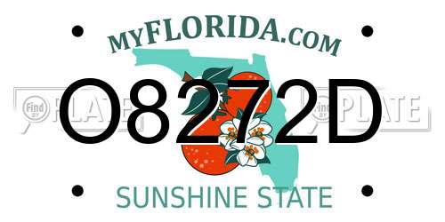 O8272D Florida License Plate