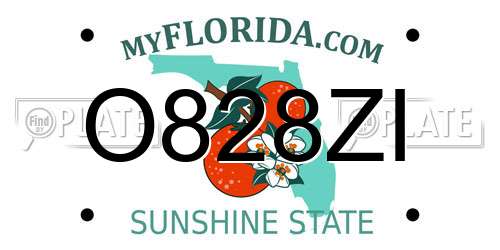 O828ZI Florida License Plate
