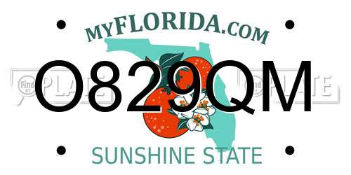 O829QM Florida License Plate