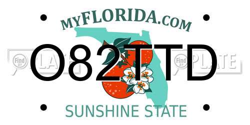 O82TTD Florida License Plate