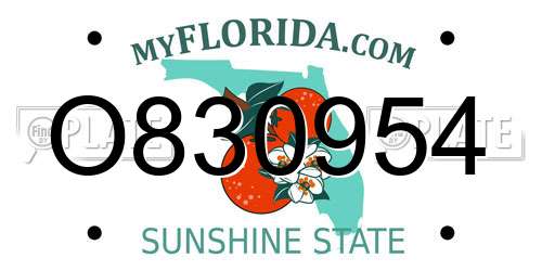 O830954 Florida License Plate