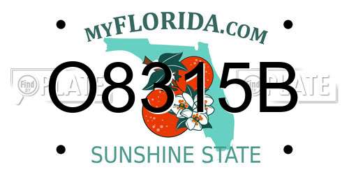 O8315B Florida License Plate