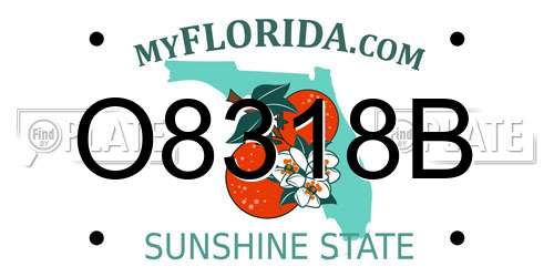 O8318B Florida License Plate