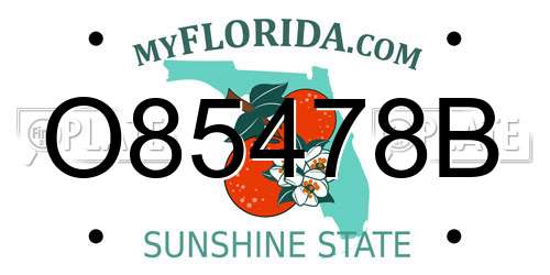 O85478B Florida License Plate