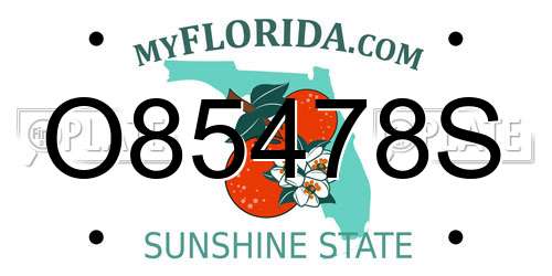 O85478S Florida License Plate