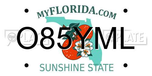 O85YML Florida License Plate