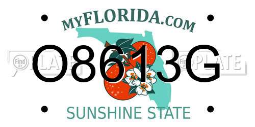 O8613G Florida License Plate