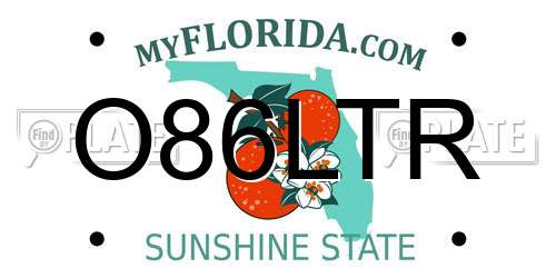 O86LTR Florida License Plate