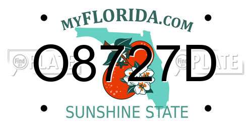 O8727D Florida License Plate