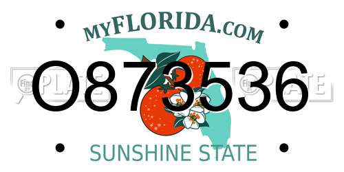 O873536 Florida License Plate