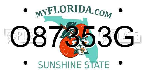 O87353G Florida License Plate