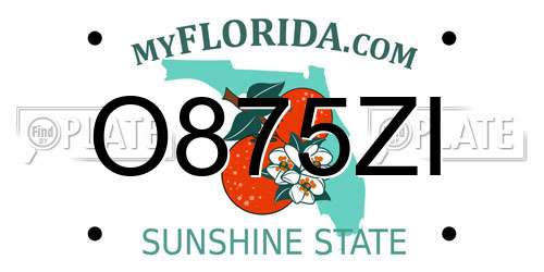O875ZI Florida License Plate