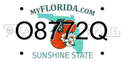 O8772Q Florida License Plate