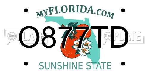 O877TD Florida License Plate
