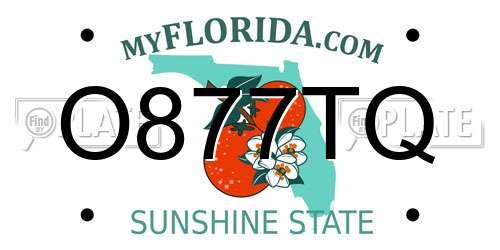 O877TQ Florida License Plate