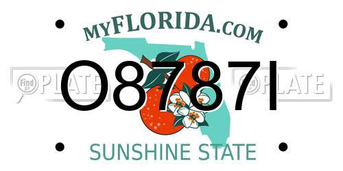 O8787I Florida License Plate