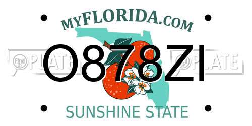 O878ZI Florida License Plate