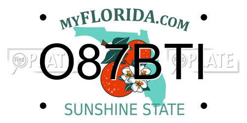 O87BTI Florida License Plate