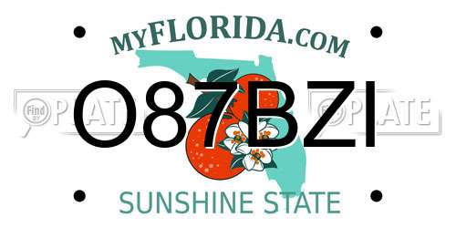 O87BZI Florida License Plate