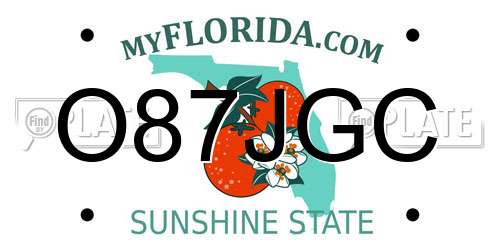 O87JGC Florida License Plate