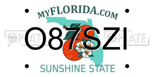 O87SZI Florida License Plate