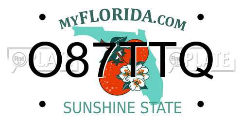 O87TTQ Florida License Plate