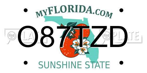 O87TZD Florida License Plate