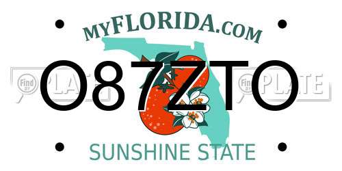 O87ZTO Florida License Plate