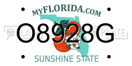 O8928G Florida License Plate