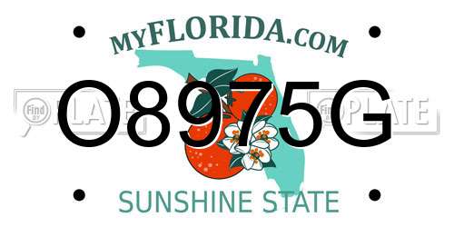 O8975G Florida License Plate