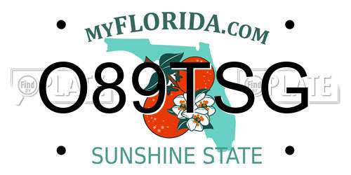 O89TSG Florida License Plate