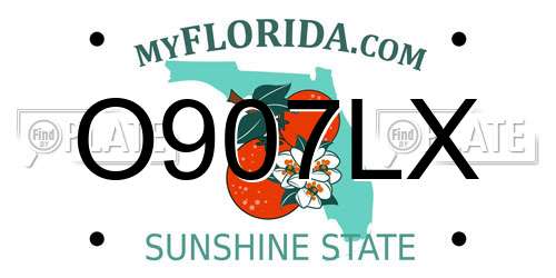 O907LX Florida License Plate