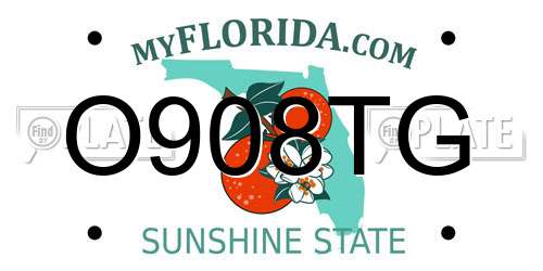 O908TG Florida License Plate