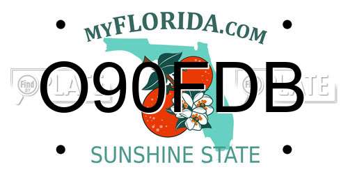 O90FDB Florida License Plate