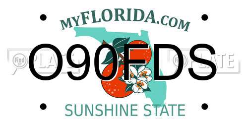 O90FDS Florida License Plate